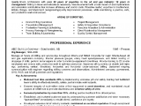 Oil and Gas Consultant Resume Sample Example Of A Oilfield Consultant Resume Sample