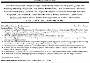 Oil and Gas Field Electrical Engineer Resume Sample Project Manager Resume Sample