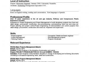 Oil and Gas Project Engineer Resume Sample Planning Engineer Cv Oil and Gas the Accounting Cover Letter