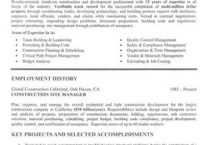 Oil and Gas Project Manager Resume Sample 75 Unique S Sample Resume Project Manager Oil and