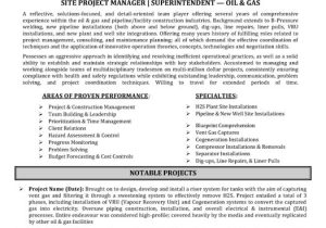 Oil and Gas Project Manager Resume Sample top Oil & Gas Resume Templates & Samples