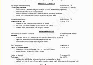 Oil and Gas Resume Samples Pdf Free Oil and Gas Resume Templates Oil and Gas Resumes