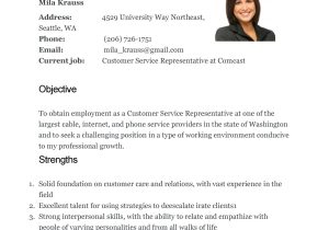Online Suctomer Service Rep Resume Samples 30lancarrezekiq Customer Service Resume Examples á Templatelab