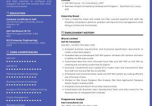Oracle Apps Scm Functional Consultant Sample Resume Sample Resume Skills Of Sap Scm/mm Consultant with Career Break …