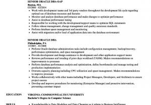 Oracle Dba Sample Resume for 2 Years Experience Great oracle Dba Resume Sample Senior oracle Dba Resume