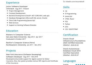 Oracle Developer with Java Api Interactions Sample Resume Junior software Developer Resume Sample 2022 Writing Tips …