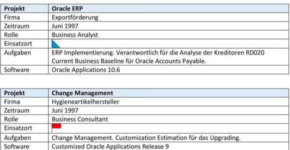 Oracle Financial Functional Analyst Ireceivables Sample Resume Funktionsbezeichnung: – Pdf Kostenfreier Download