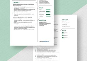 Oracle Hrms Functional Consultant Resume Sample oracle Hrms Functional Consultant Resume Template – Word, Apple …