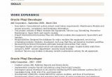 Oracle Pl Sql Developer Resume Sample oracle Plsql Developer Resume Samples