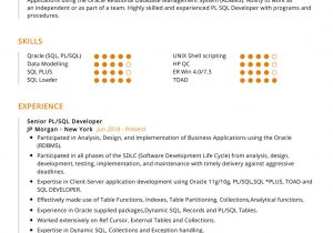 Oracle Pl Sql Developer Resume Sample Pl Sql Developer Resume Sample