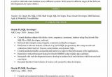 Oracle Pl Sql Developer Resume Sample Pl Sql Developer Resume Samples