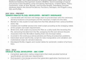 Oracle Pl Sql Developer Resume Sample Pl Sql Developer Resume Samples