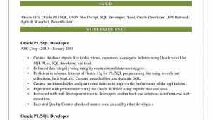Oracle Pl Sql Developer Resume Sample Pl Sql Developer Resume Samples