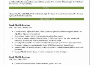 Oracle Pl Sql Developer Resume Sample Pl Sql Developer Resume Samples