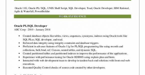 Oracle Pl Sql Developer Resume Sample Pl Sql Developer Resume Samples