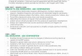 Oracle Pl Sql Developer Resume Sample Sql Developer Resume Samples