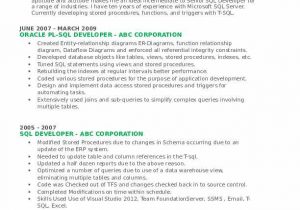 Oracle Pl Sql Developer Resume Sample Sql Developer Resume Samples