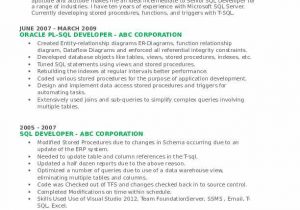 Oracle Pl Sql Developer Resume Sample Sql Developer Resume Samples