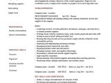 Oracle Procure to Pay Sample Resume Purchase Executive Model Resume, Purchasing Resume Example