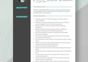 Oracle Project Billing and Costing Resume Sample Project Manager Resume Templates – Design, Free, Download …