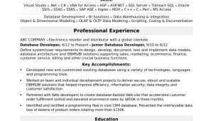 Oracle Project Billing and Costing Resume Sample Sample Resume for A Midlevel It Developer Monster.com