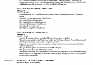 Oracle Scm Functional Consultant Resume Sample oracle Functional Consultant Resume Samples Oracle Scm Functional Consultant Resume Sample oracle Functional Consultant Resume Samples
