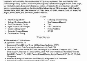 Oracle Scm Functional Consultant Resume Sample Senior Scm Consultant Resume Example Pany Name Oracle Scm Functional Consultant Resume Sample Senior Scm Consultant Resume Example Pany Name