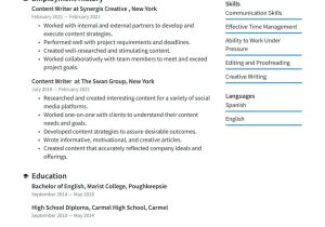 Other Interests Writing Sample for Resume Content Writer Resume Examples & Writing Tips 2022 (free Guide)