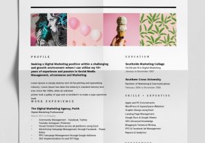 Out Of the Box Resume Templates 12 Best Free Resume Templates   Tips On How to Stand Out – Easil