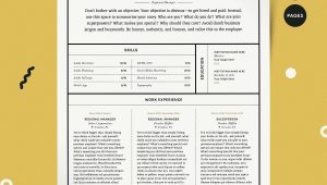 Out Of the Box Resume Templates A Modern Multi-column Resume Template with Box Sections to …