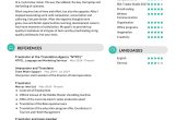 Over the Phone Interpreter Resume Sample Translator Resume Sample 2022 Writing Tips – Resumekraft
