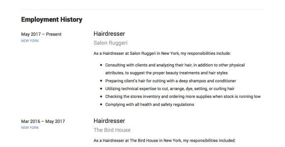 Own Bussines Beauty Salon Resume Sample Full Guide: Hairdresser Resume 18 Examples Pdf 2022