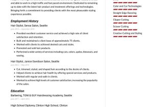Own Bussines Beauty Salon Resume Sample Hair Stylist Resume Examples & Writing Tips 2022 (free Guide)
