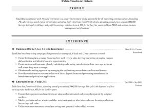 Owner Founder Logistics Company Sample Resume Small Business Owner Resumes  19 Examples Pdf 2022
