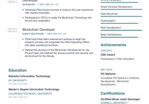 Part 121 First Officer Resume Sample Blockchain Developer Resume Example with Content Sample Craftmycv