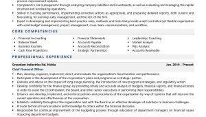 Part Time Cfo Services Resume Sample Chief Finance Officer Resume Examples & Template (with Job Winning …