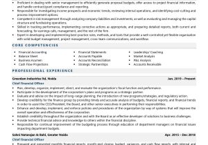 Part Time Cfo Services Resume Sample Chief Finance Officer Resume Examples & Template (with Job Winning …