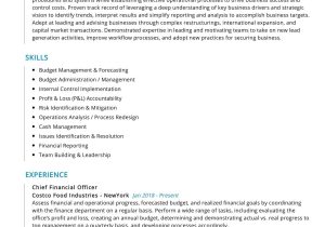 Part Time Cfo Services Resume Sample Chief Financial Officer Resume Sample 2022 Writing Tips …