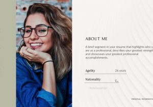 Portfolio Resume after Effects Templates Videohive Elegant Portfolio Resume Download Fast Videohive 26692932 after …