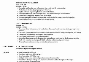 Power Bi Sample Resume for 2 Years Experience Ui Developer Sample Resume 2 Years Experience Best