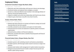 Private Equity Fund Of Funds associate Sample Resume Investment Banker Resume Examples & Writing Tips 2022 (free Guide)