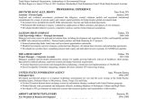 Private Equity Vice President Resume Sample 100 Wharton Resume Sample Pdf Private Equity Mergers and …