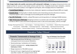 Private Equity Vice President Resume Sample Executive Resume Samples Award-winning Executive Resume Samples
