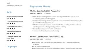 Process Plant Operator Resume Headline Sample Machine Operator Resume Examples & Writing Tips 2022 (free Guide)