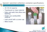 Process Sputum Samples In Lab Resume Collecting and Transporting Sputum Specimens – Ppt Video Online …