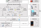 Process Sputum Samples In Lab Resume Frontiers An Innovative Protocol for Metaproteomic Analyses Of …