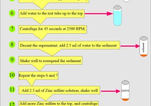 Process Stool Samples In Lab Resume Stool Examination:- Part 2 – Stool Smear Preparation, Stains …