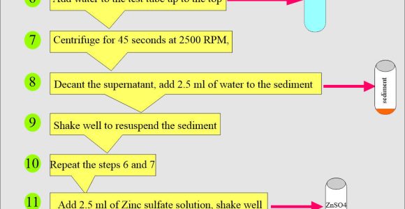 Processed Stool Samples In Lab Resume Stool Examination:- Part 2 – Stool Smear Preparation, Stains …