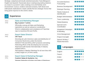 Product Marketing Manager Resume Summary Samples Marketing Manager Resume Sample 2022 Writing Tips – Resumekraft