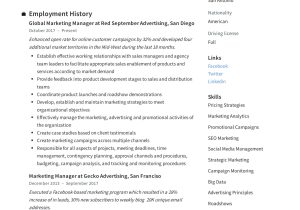 Product Marketing Manager Resume Summary Samples Marketing Manager Resume   Writing Guide 12 Templates 2020